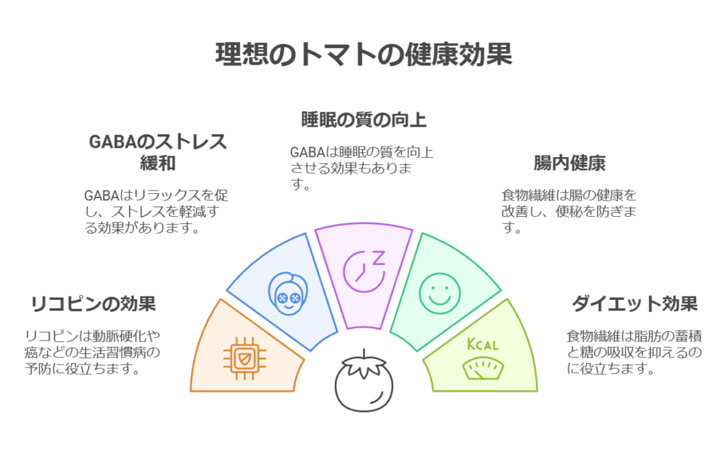 「理想のトマト」の健康効果