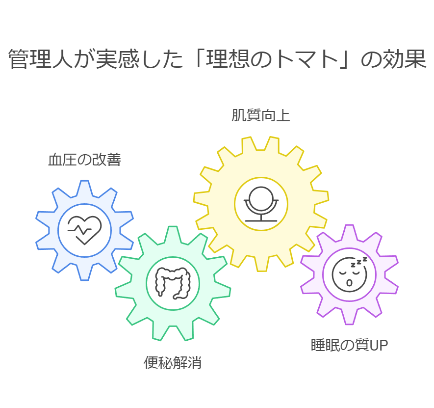 管理人が実感した「理想のトマト」の効果